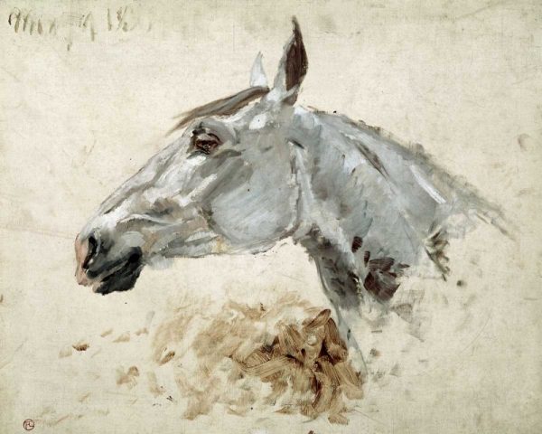 Testo Di Cavallo