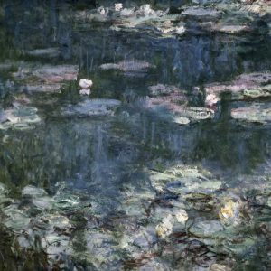 Nympheas - Water Lilies - detail