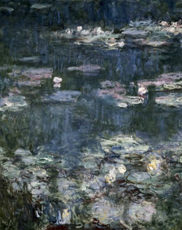 Nympheas - Water Lilies - detail