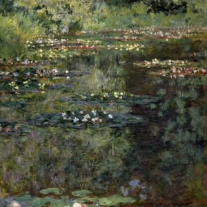 Pool with Waterlilies, 1904