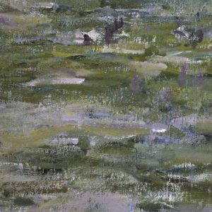 Study of Water Lilies - Etude des nympheas