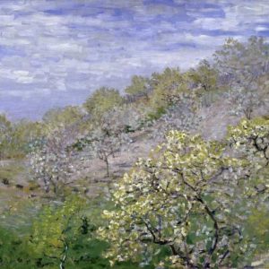 Trees in Bloom - Arbres en fleurs