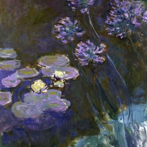 Water Lilies and Agapanthus