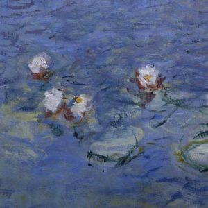 Water Lilies - Detail