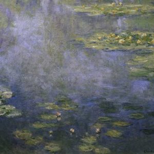 Water Lilies - Nympheas IV