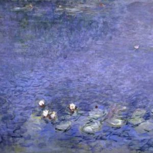 Water Lilies - Nymphaeas VI