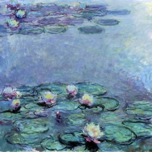 Water Lilies - Nympheas 1914-1917