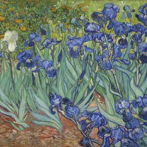 Irises, 1889