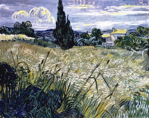 Landscape with Green Corn