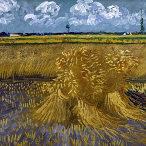 Wheat Field with Sheaves