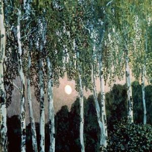 Birch Trees