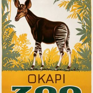 KÃ¸benhavn Zoo/Okapi