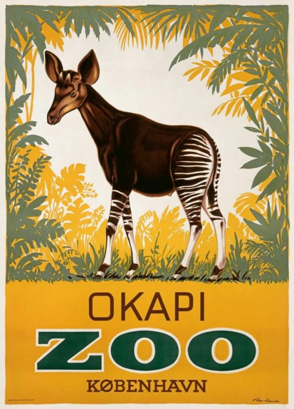 KÃ¸benhavn Zoo/Okapi