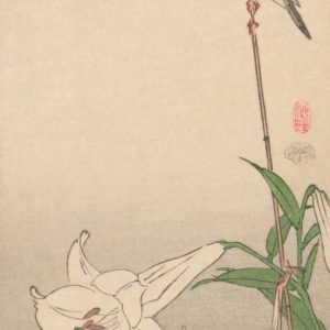 Small bird on lily plant., 1893