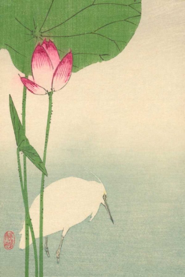 White heron and lotus, 1894