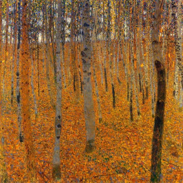 Beech Forest I 1902