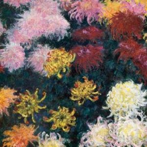 Museumysanthemums