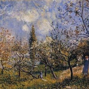 Orchard In The Spring