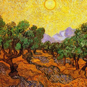 Olive Trees With Yellow Sky And Sun