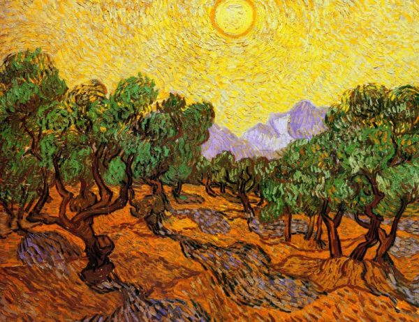 Olive Trees With Yellow Sky And Sun