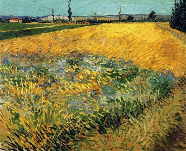 Wheatfield 1888