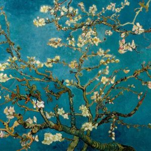 Blossoming Almond Tree