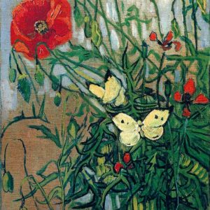 Butterflies And Poppies