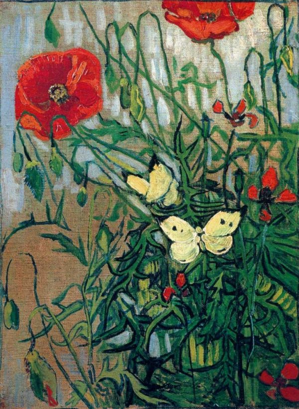 Butterflies And Poppies