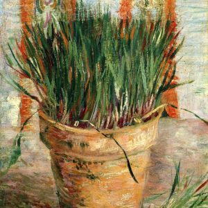 Flowerpot With Chives