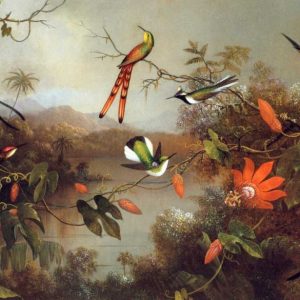 Tropical Landscape With Ten Hummingbirds