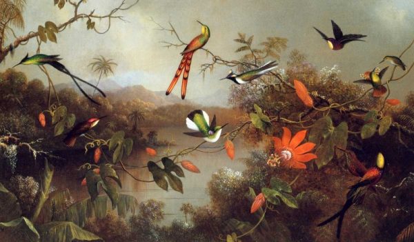 Tropical Landscape With Ten Hummingbirds