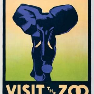 Visit the zoo - Elephant