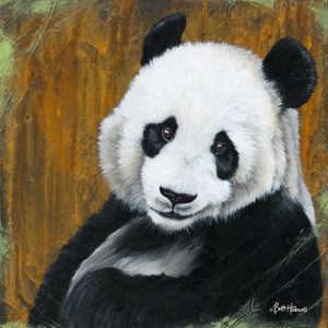 Panda Smile