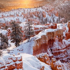 USA, Utah, Bryce Canyon National Park, Sunrise from Sunrise Point after fresh snowfall