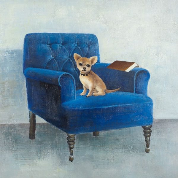 CHIHUAHUA ON A BLUE ARMCHAIR