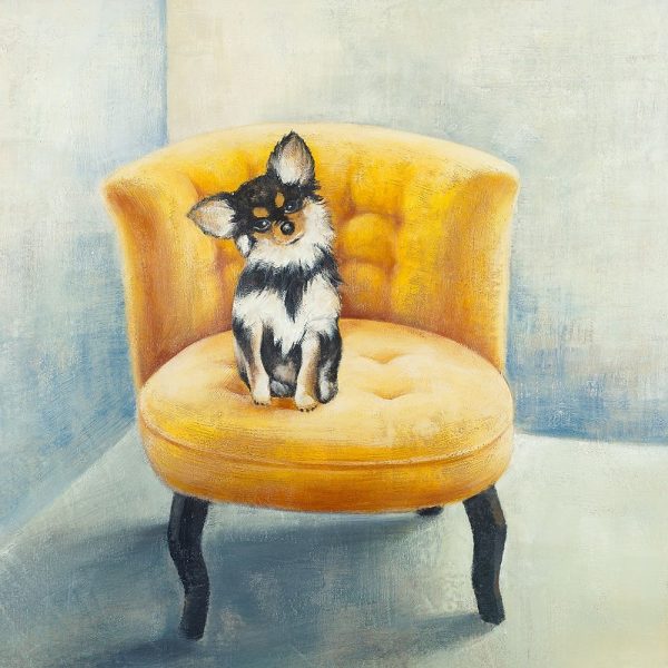 LITTLE DOG ON A YELLOW ARMCHAIR