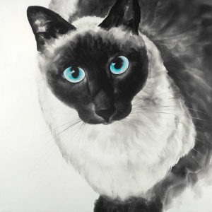 Blue Eyes Siamese Cat