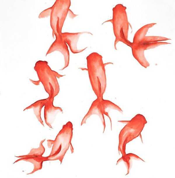 SMALL RED FISHES