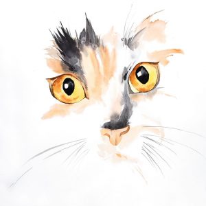 WATERCOLOR CAT FACE CLOSEUP