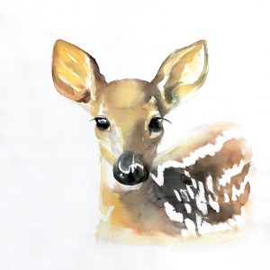 WATERCOLOR FAWN FACE