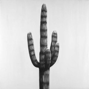 Large Cactus