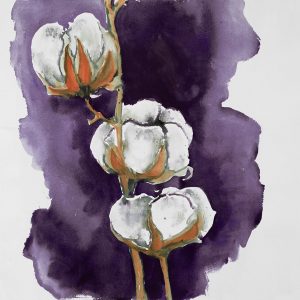 Watercolor purple cotton flowers