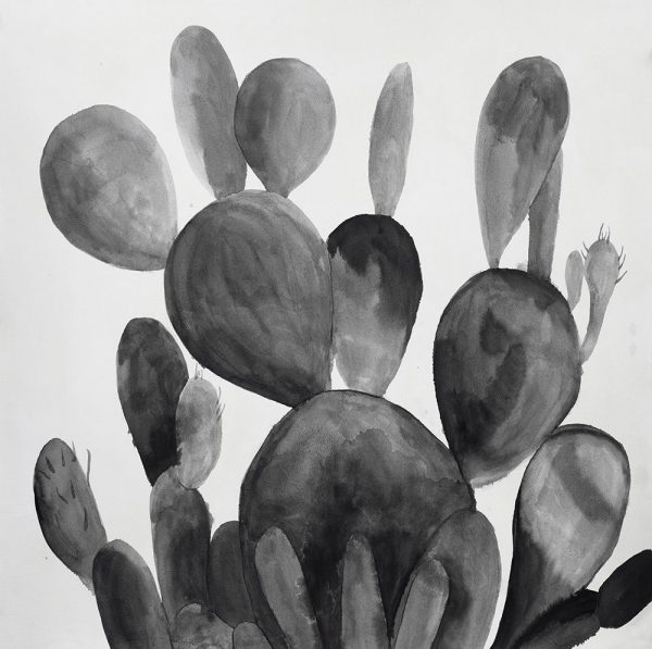 GRAYSCALE PADDLE CACTUS PLANT