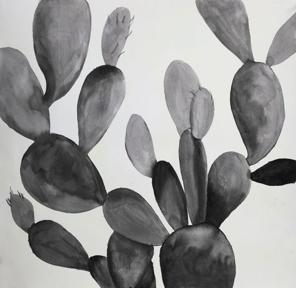 GRAYSCALE CACTUS