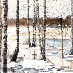 WINTER SWAMP