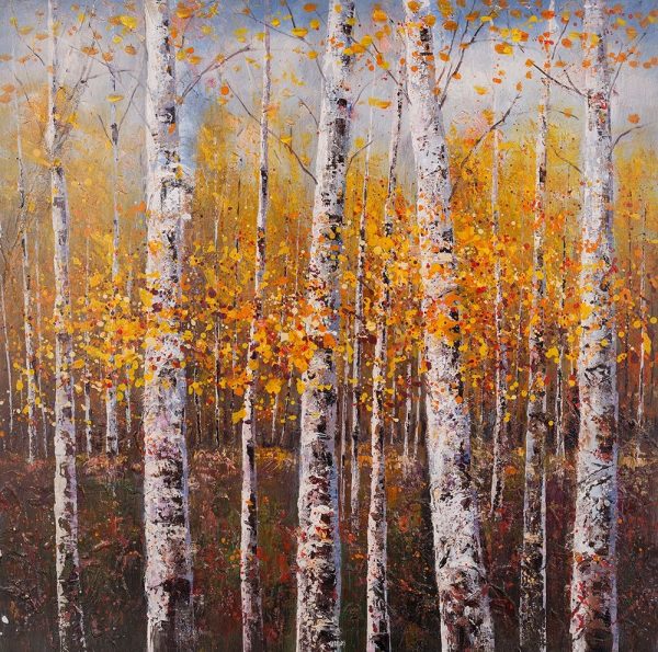 BIRCHES BY SUNNY DAY