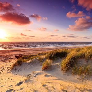 Sand Dunes at Dusk