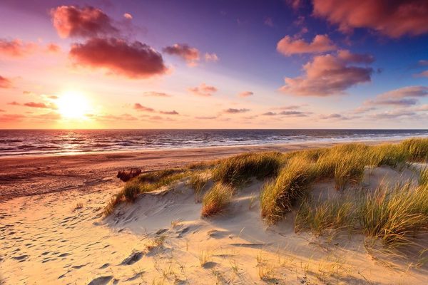 Sand Dunes at Dusk