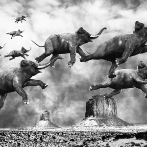 Flying Elephants