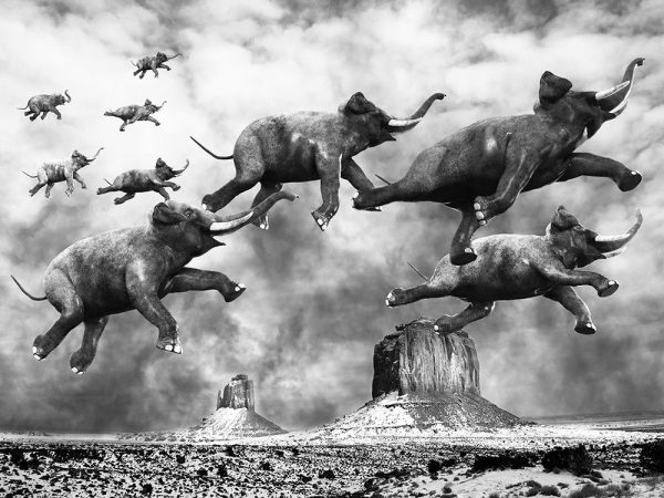 Flying Elephants